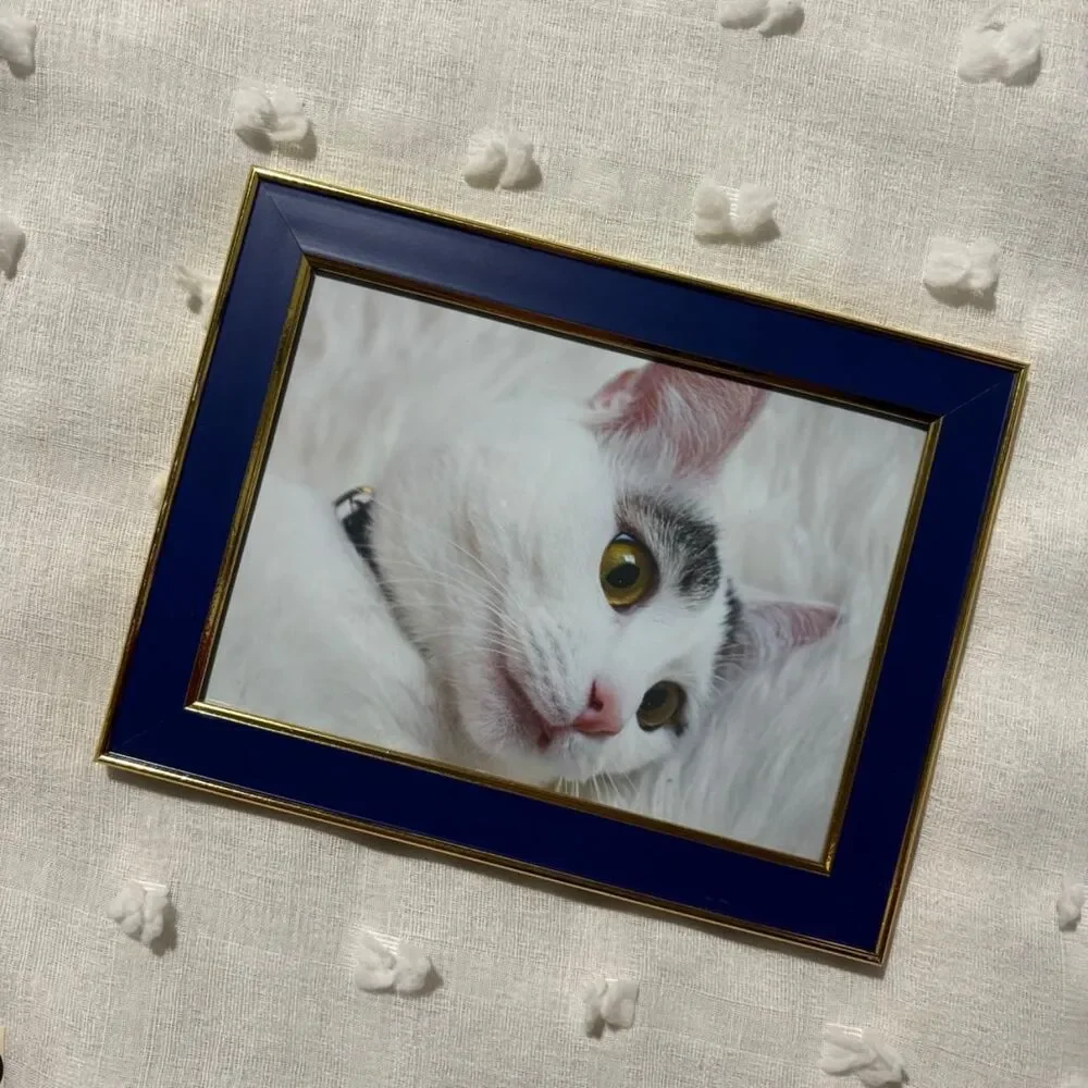 Source Unknown cats handmade